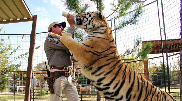 tiger king 2 2read only 15866619714941514324765 crop 15866626438526688271 1 - WandaVision Merch